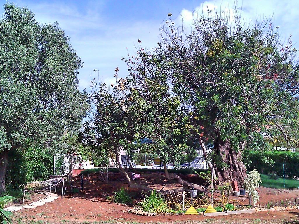 Quinta Casalinho Villa Albufeira Exterior photo
